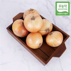 팜앤피아 친환경 무농약 양파 4kg