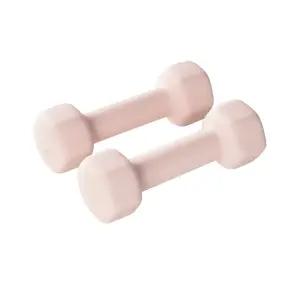 앳플리 LW 홈트 미용 아령 덤벨 세트 인디핑크 2kg x 2개
