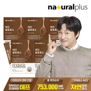테프 발효효소 30포 5박스   곡물효소 정제효소 NO 고역가수치
