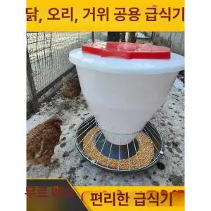 닭먹이통 사료 모이통 병아리