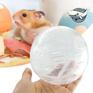 [콩심팥심]햄스터 놀이공간 건강 운동구 쳇바퀴 장난감 볼