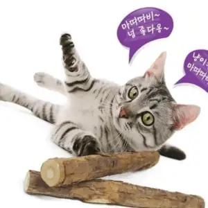 고품질 고양이 장난감 막대 5개 마따따비 애완용 소재 (WFK7LC9)