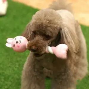 고품질 강아지 장난감 고무 불안 완화 인형 1개 (WFK7LWL)