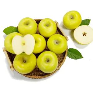 [아침이슬농원]제철 달코미 시나노골드 실속 3kg 소과(20-27)