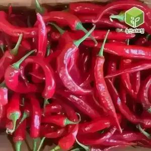 국내산 홍고추 10kg