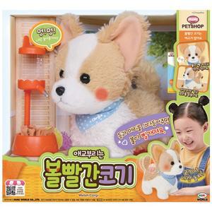 볼빨간코기 웰시코기