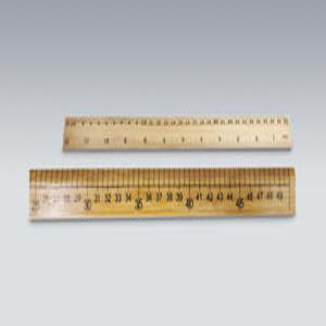 [더원사이언스] 대나무자 (300mm) KSIC-25262/25262/대나무자/과학영재/과학교구