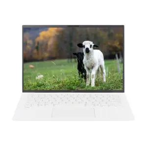 LG전자 LG그램 14Z90T-GA5HK