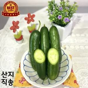 [해들애] 수분가득 아삭한 식감 스낵미니오이 등산용 캠핑용 수분섭취 1000g/2000g/500g (1kg기준)