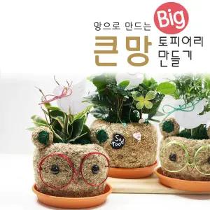 대형 큰망토피어리 만들기 DIY 집콕 체험학습 공기정화식물