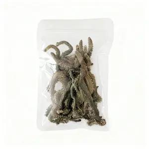 동결건조 갯지렁이 청개비 낚시미끼 낚시꿀템 최고품질 간편 소포장, 10g, 5개