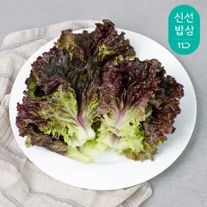 [최종혜택가8,320원]국내산 GAP인증 적상추 500g
