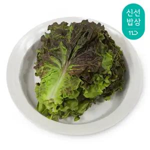 [최종혜택가12,720원]국내산 GAP인증 적상추 1kg
