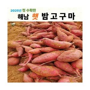 밤고구마(못난이 10kg)
