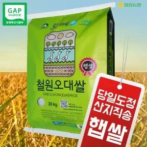 (2025년산/RPC) 강원도 농협쌀 철원농협 철원오대쌀 20kg