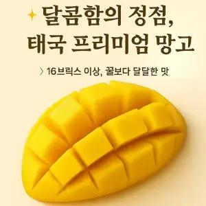 [노엘라] 항공 프리미엄 태국 골드망고 4Kg (6-14과)