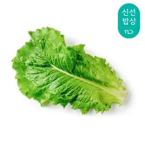 [최종혜택가19,930원]국내산 GAP인증 청상추 2kg