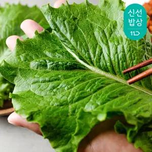 [최종혜택가7,820원]국내산 GAP인증 청상추 500g/2개구매시 3000원 추가 할인