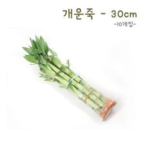 [에코키즈] 개운죽 30cm-10p