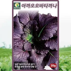 다농 아까오오바타까나 씨앗 20g 적색 갓씨 일본갓 채소 종자