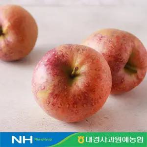 [대경사과원예농협]문경 감홍 가정용 사과 3kg 6-10과 대과
