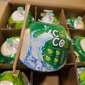 열대과일 coconut 코코넛 베트남 열매 야자 생코코넛 9과