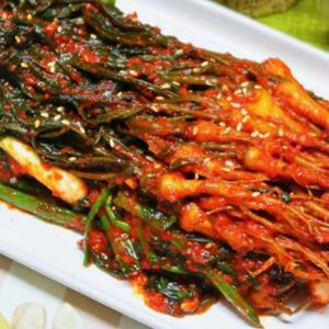 돌산갓김치 여수 꼬들빼기 맛집 2kg