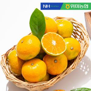 위미농협 제주 당도선별 문주왕 하우스 감귤 5kg (45-70과 내외)