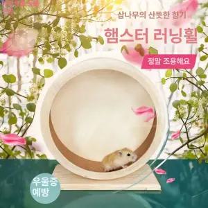 햄스터집 쳇바퀴 저빌 마우스 환기 겨울 4층 롤러 친칠라 모래 난쟁이 목재 시원한 트럼펫