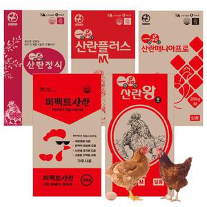 닭사료 닭모이 먹이 밥 20kg