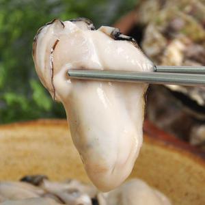 국내산 제철맞은 탱글한 생굴 1kg(중대) / 가열조리용