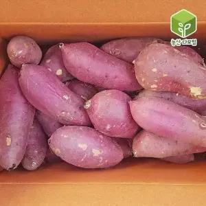 고구마 꿀밤고구마 왕특 10kg