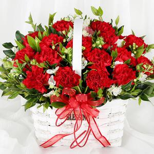 당일 꽃배달 미안하고 사랑합니다 카네이션 꽃바구니 생화 배달 A1996
