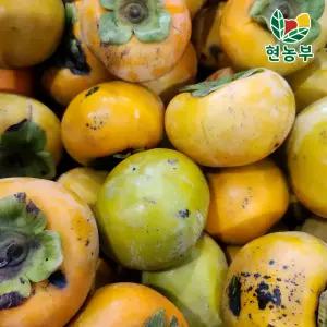 국내산 못난이 흠과 햇 단감 5kg 랜덤과