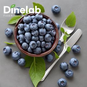 프리미엄 냉동 블루베리 1kg x 2팩(무료배송)