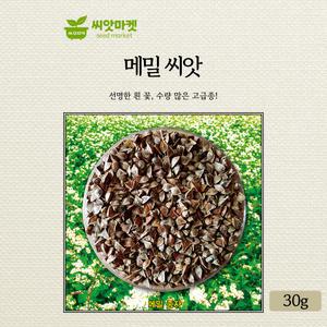KS종묘 메밀 씨앗 30g 선명한 흰꽃 수량많은 고급 품종