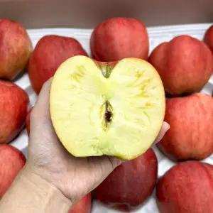 햇 홍로사과 10kg 대과 고당도 맛있는 여름 꿀 사과 (30-38과)