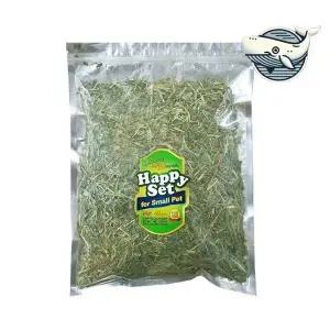 [콩심팥심]소중한 반려동물 사료 알팔파 건초 500g