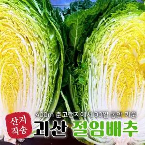 [산지직발송] 괴산 준고랭지 90일 절임배추 김장배추