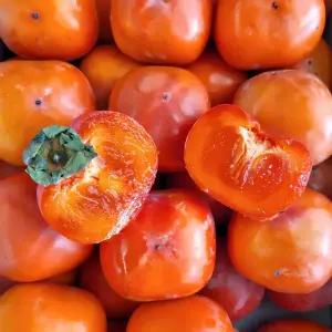 때깔찬 청도반시 홍시 씨없는 감 실중량 5kg (50과내외) 후숙필요/반짝가격