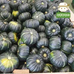 [함평직송] 무농약 햇 미니단호박(밤호박) 2kg