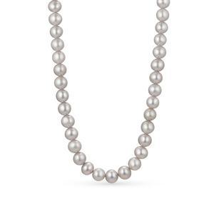 [도로시] 14k 그레이 담수진주 비드 목걸이(5.5mm)_기본장식