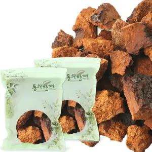 최상품 100 시베리아 러시아 차가버섯 500g x 2개