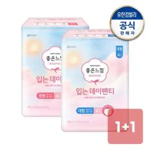 입는데이팬티 중형 대형 생리대 4매x1+1팩