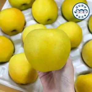 [삼남매네]25년 경북 가정용 시나노골드 사과 10kg [60과내]