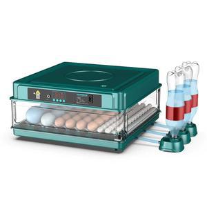 부화기농장 토종닭 둥지 농장 오골계 가금류 오리알 24구 유정란 가정 조절 부화 기러기