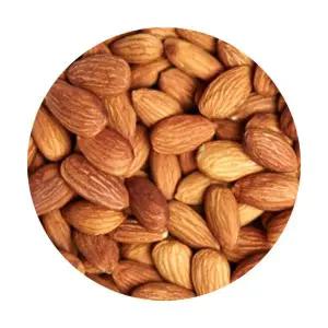 아몬드 50g 햄스터 토끼 간식 앵무새 다람쥐 간식 먹이