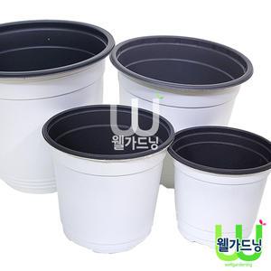 [조이가든]백색 칼라포트 GS150, 다량의 모종, 식물심기용 화분