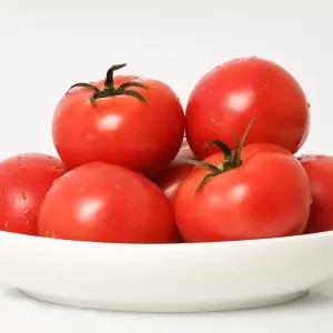 완숙토마토 3kg 4-5번