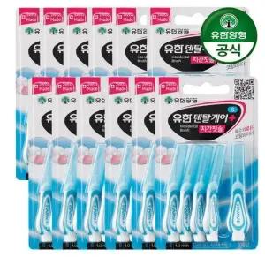 유한덴탈케어 치간칫솔 S 1.0mm 5입 x 12개